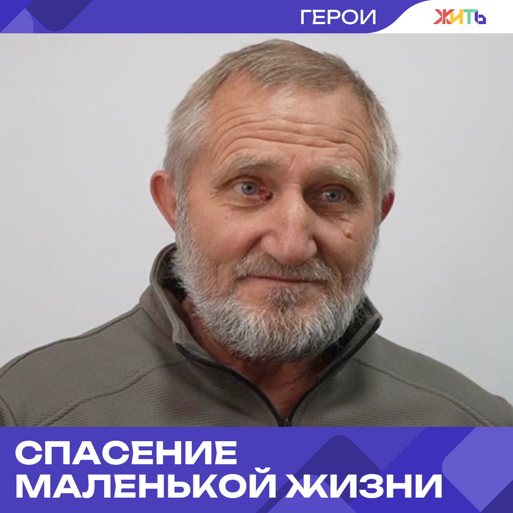 Источник: Среда