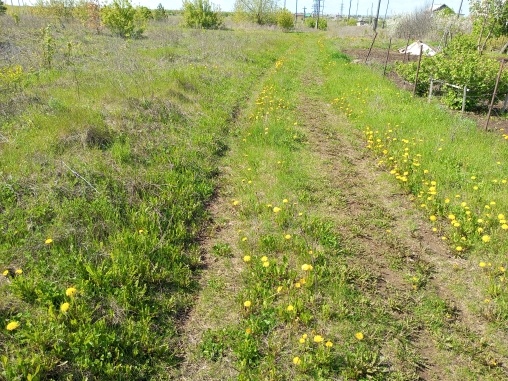 Дорога в никуда. Фото автора.