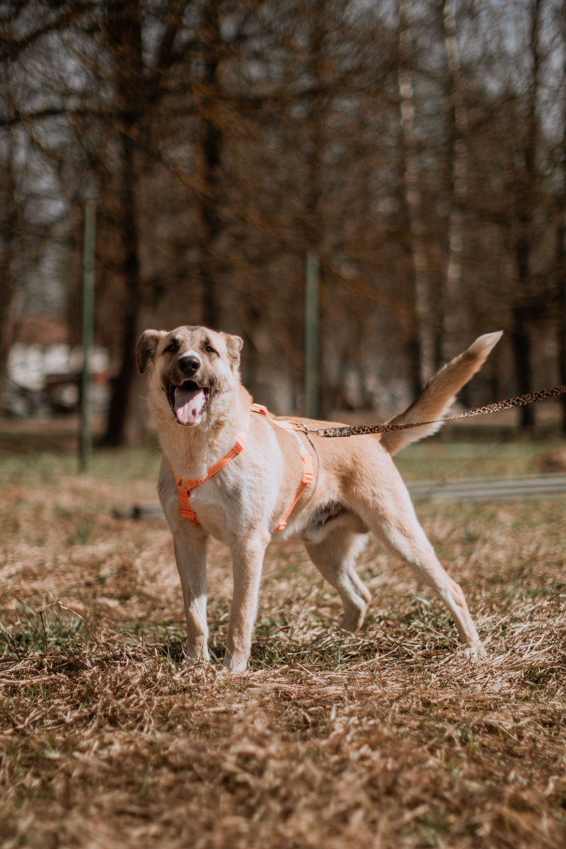 Вот такой вымахал!
