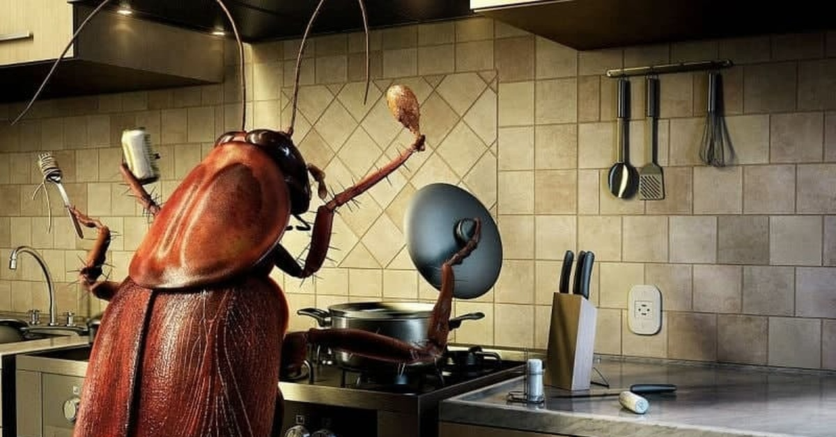 источник  pikabu.ru