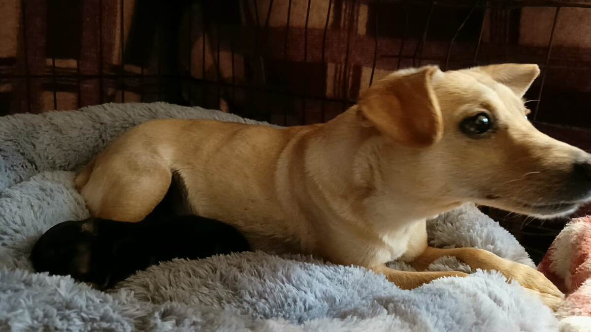 что очень важно для их обоих.