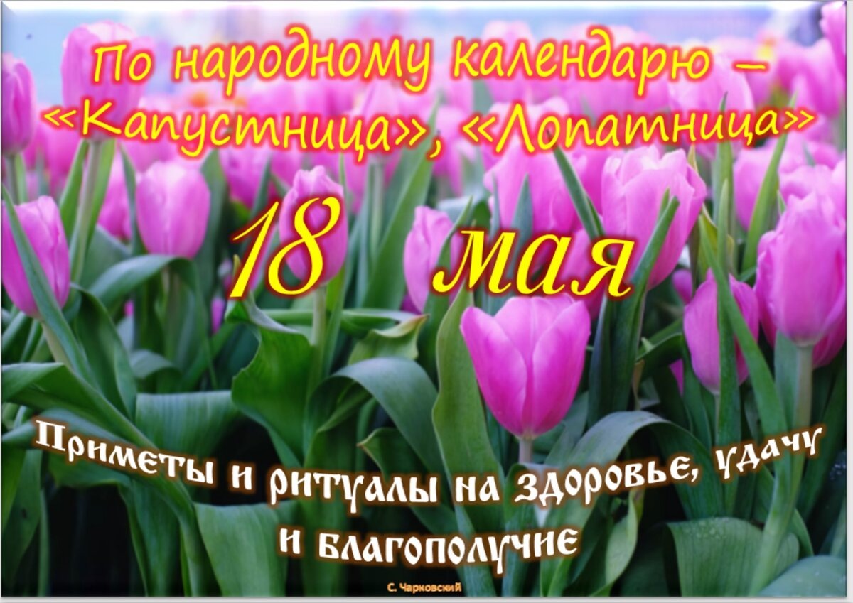 Встречаем новый день