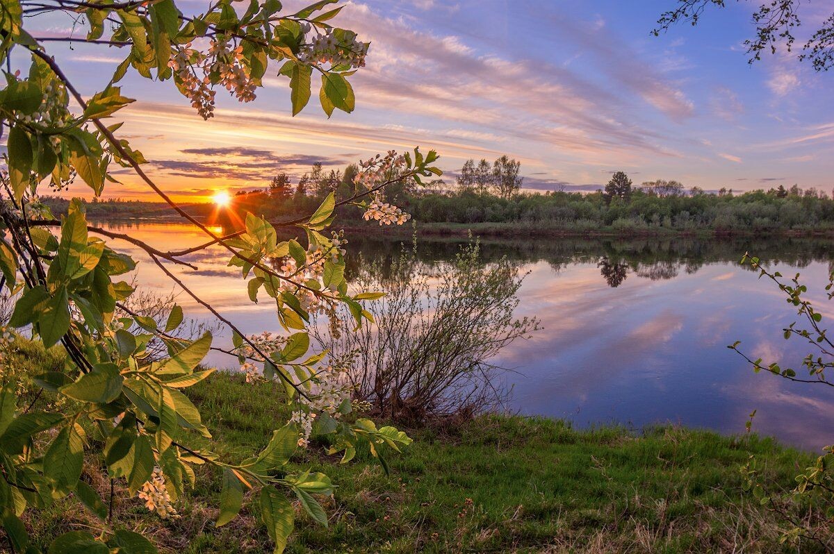 Изображение из открытых источников