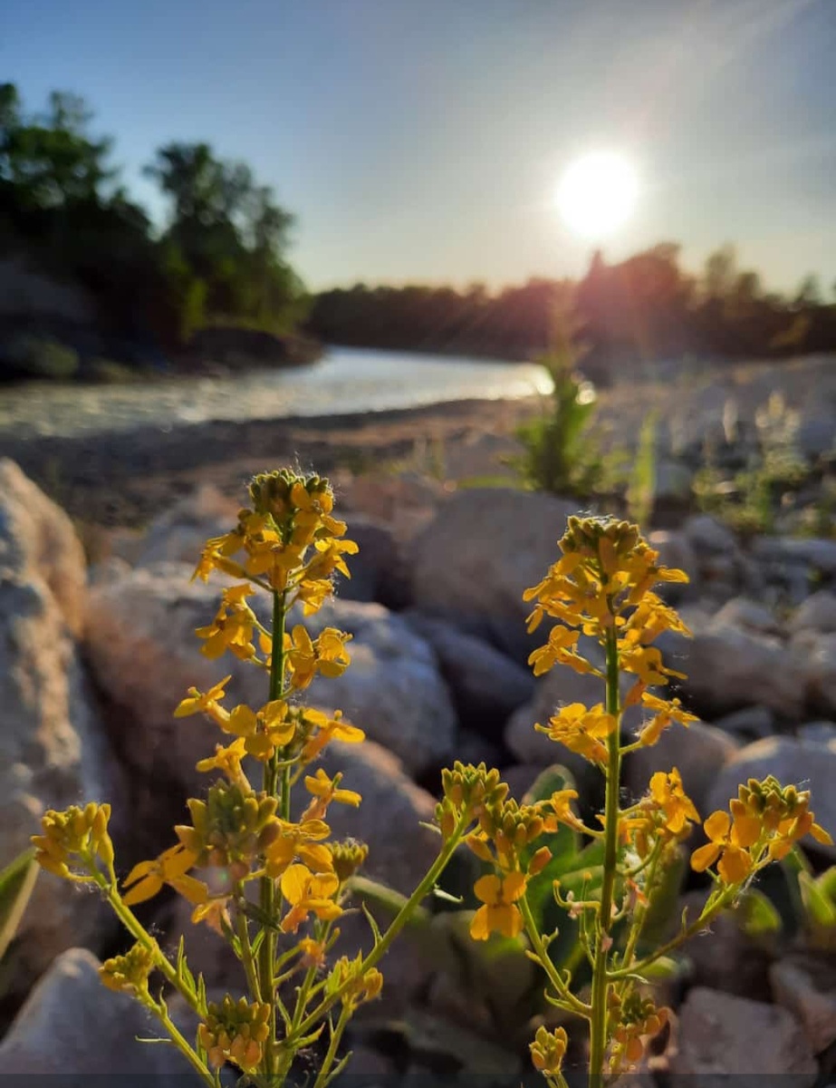 Автор  А.Закопкина