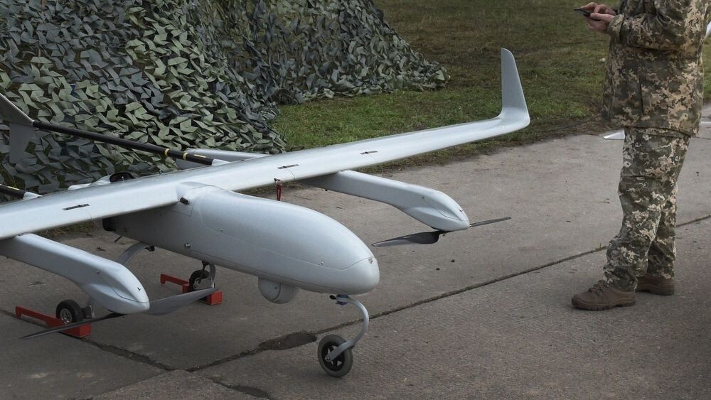    Фото: Bumble Dee/Shutterstock/Fotodom