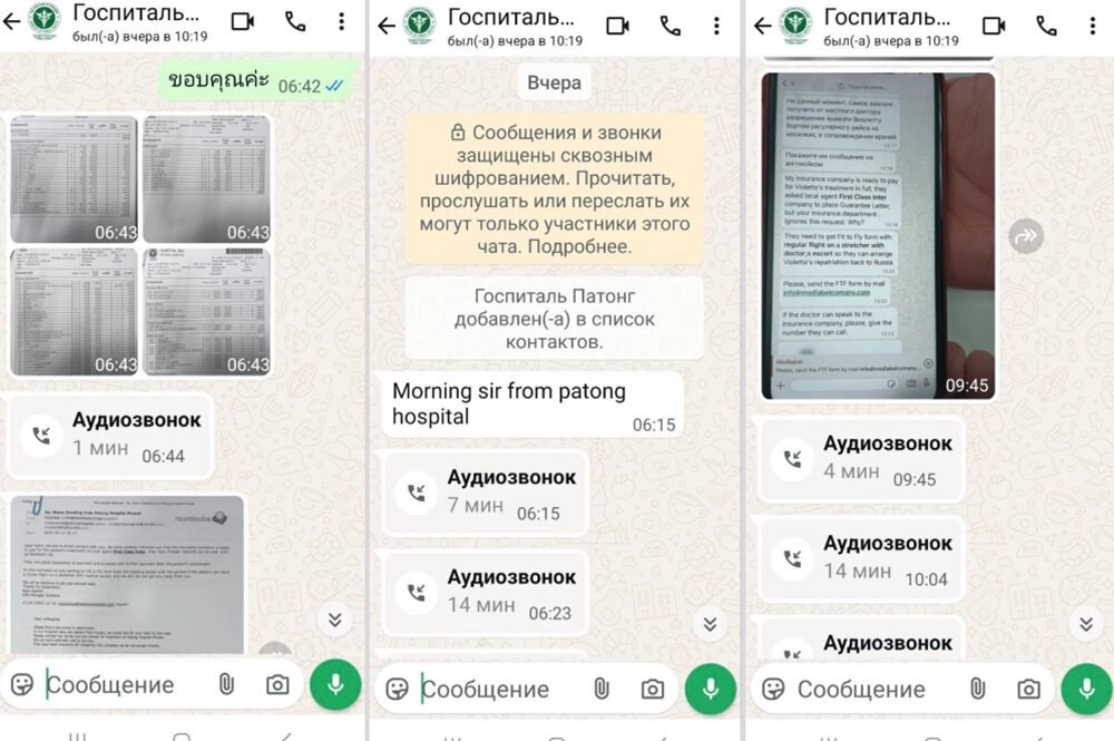    Скриншоты из переписки. Источник: личный архив Светланы Шерстобоевой