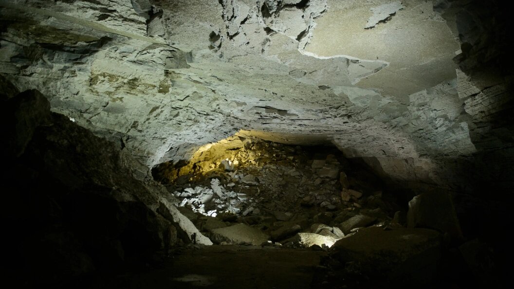    Фото: Victor Lisitsyn/Globallookpress