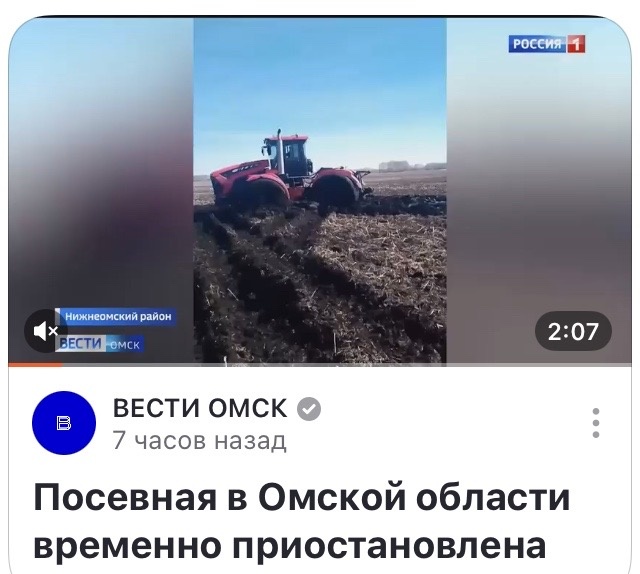 Даже на полях тишина