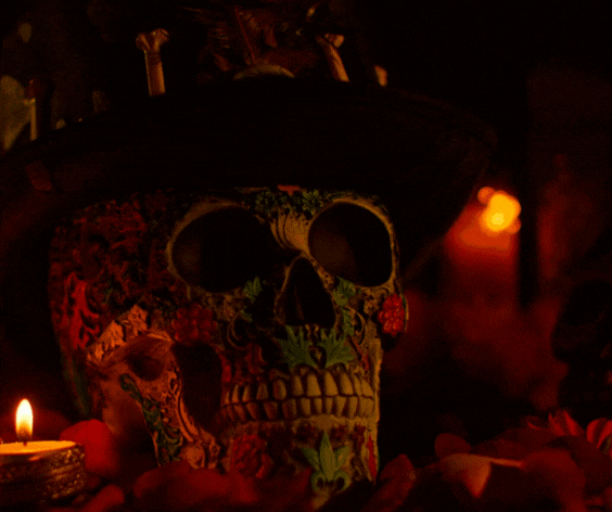 Сцена становится алтарём: магия, ритуалы и энергетика Евровидения 2025 — тайны массовых шоу и символизм сцены