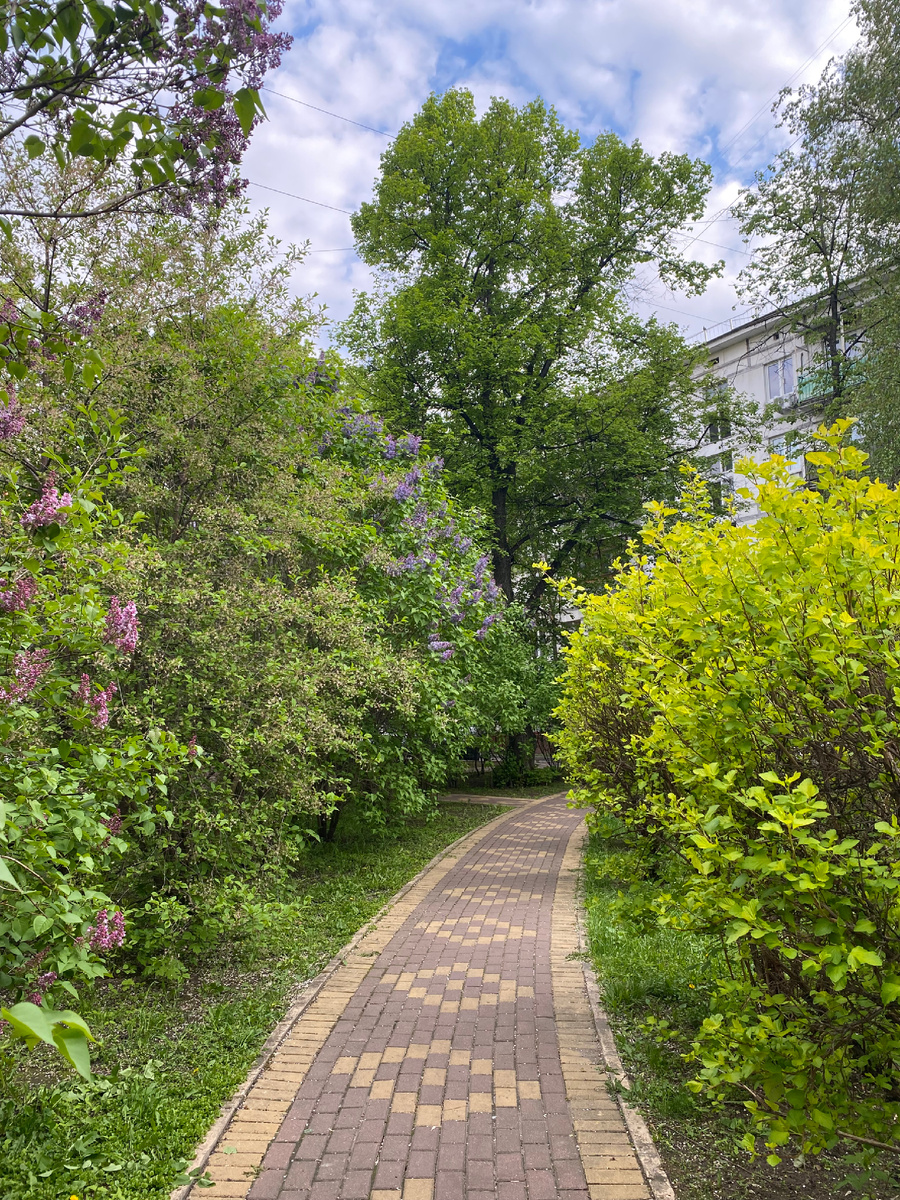 Возле моего дома.