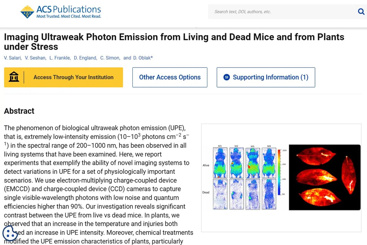    Фото: страница сайта pubs.acs.org