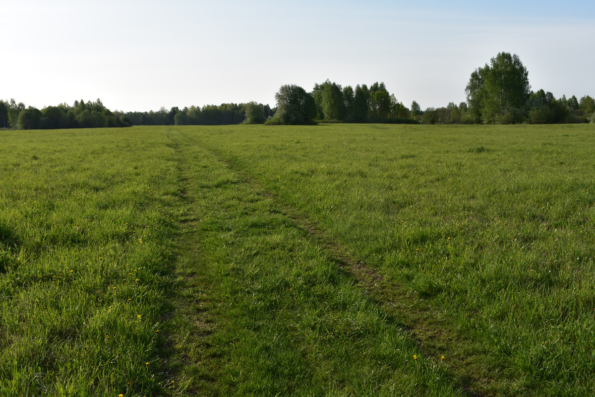 Вперед, за рядовками! Фото Доктора Д.