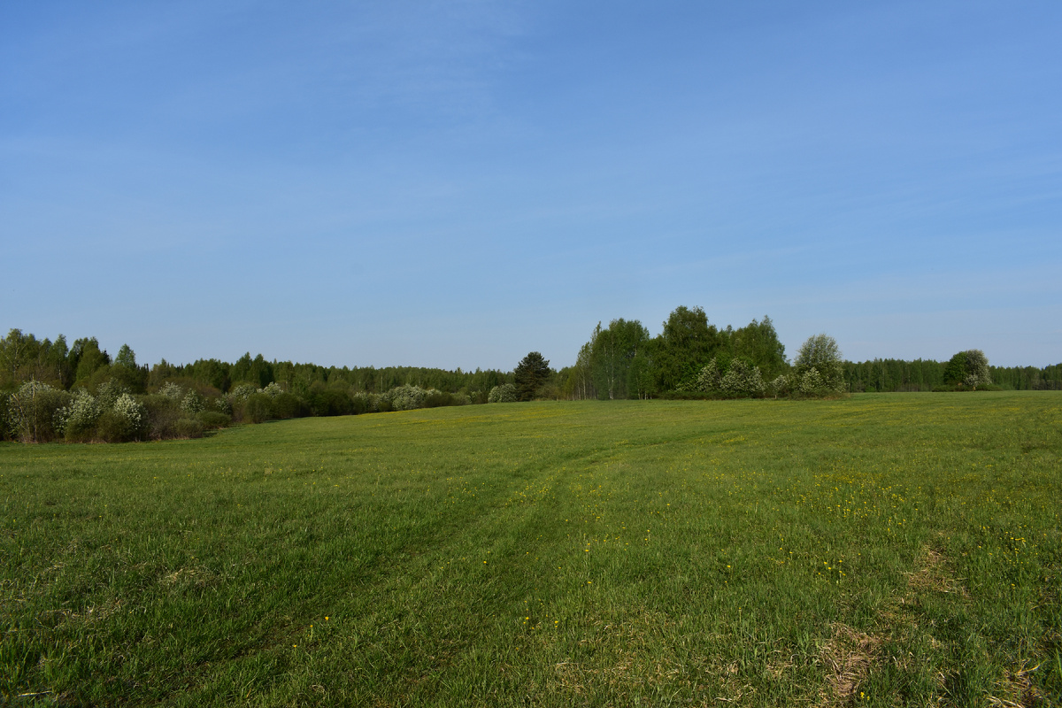 Вперед, за рядовками! Фото Доктора Д.