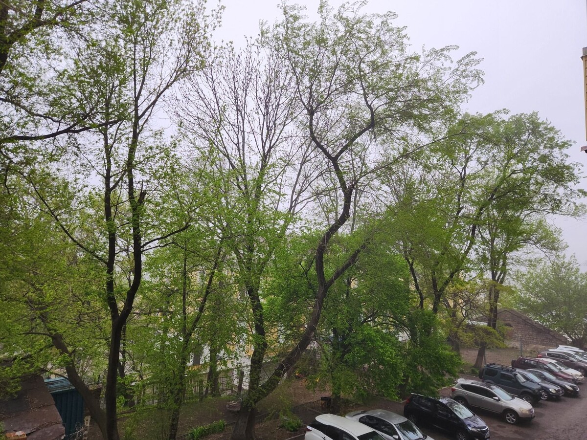     Источник: vostokmedia.com