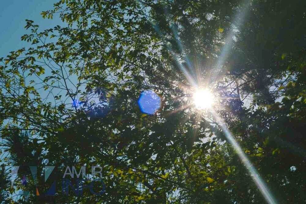    Фото: Амур.инфо