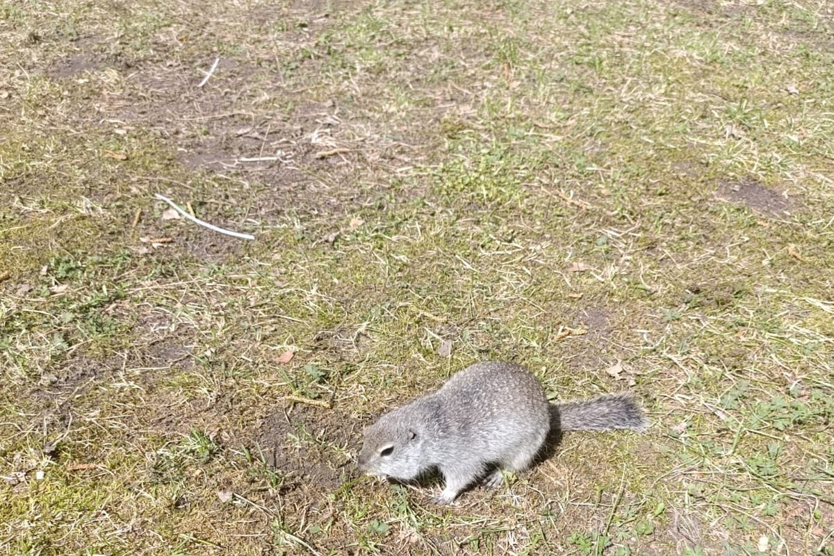    Фото: Светлана СОСНИНА