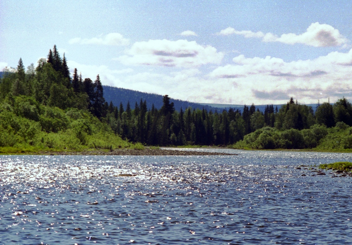 лето ох и кратко (фото автора)