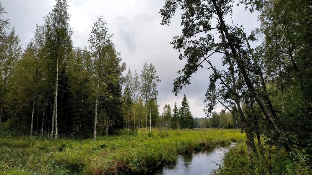    Maksim Konstantinov/Globallookpress