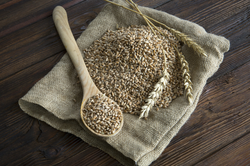    Nikolay Gyngazov/Global Look Press