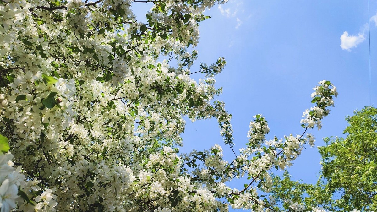     Источник: 1MI