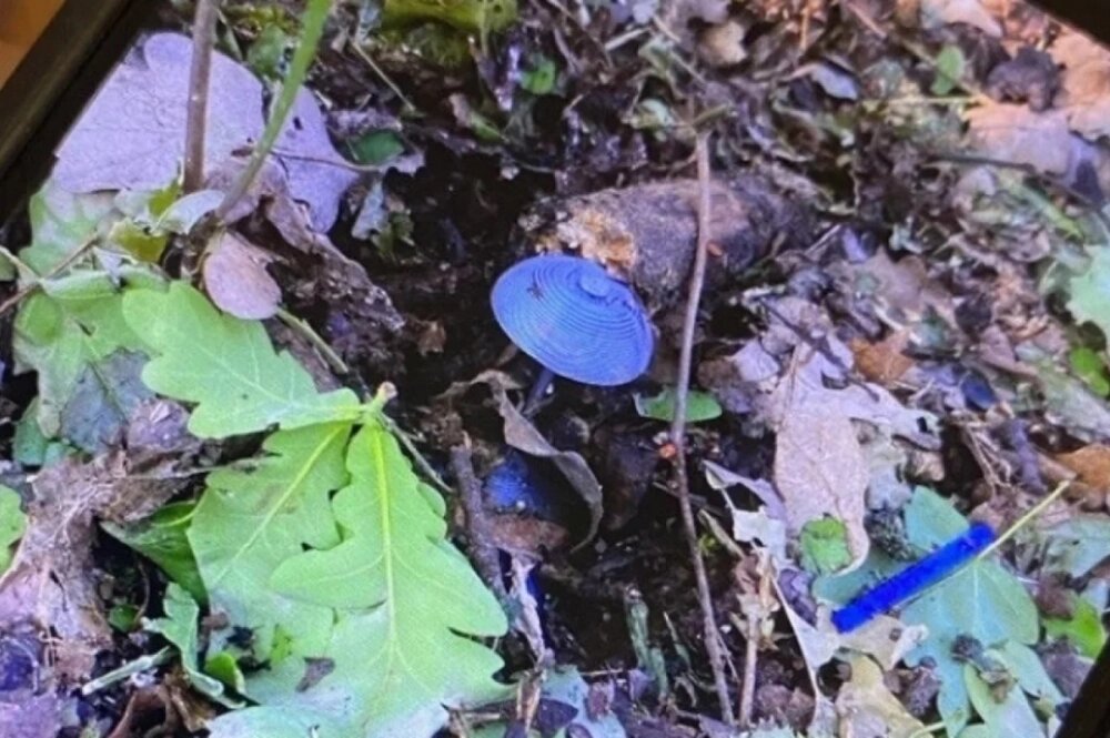    мины-грибы, мина гриб, мины ВСУ, Фото: соцсети