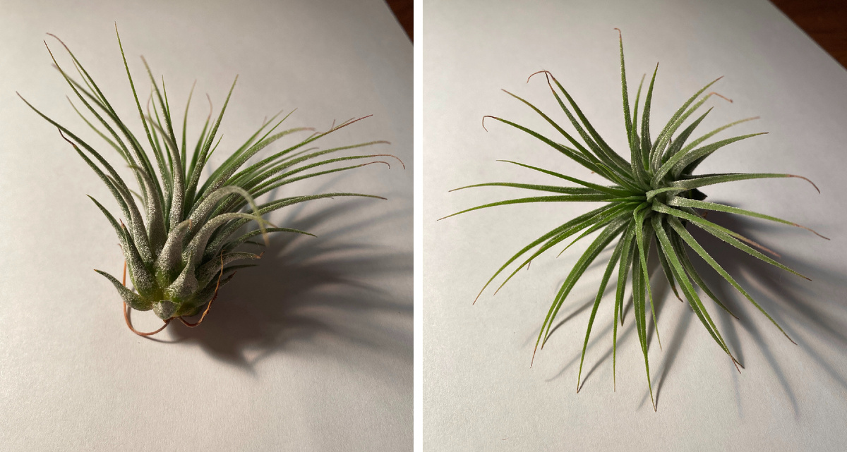 12 ноября 2022. Первый день дома.