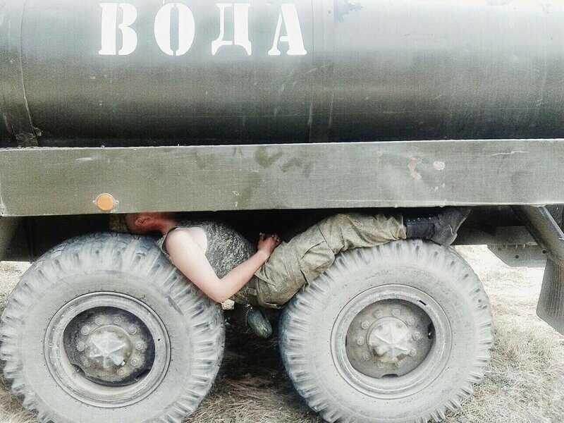 Картинка из открытых источников.