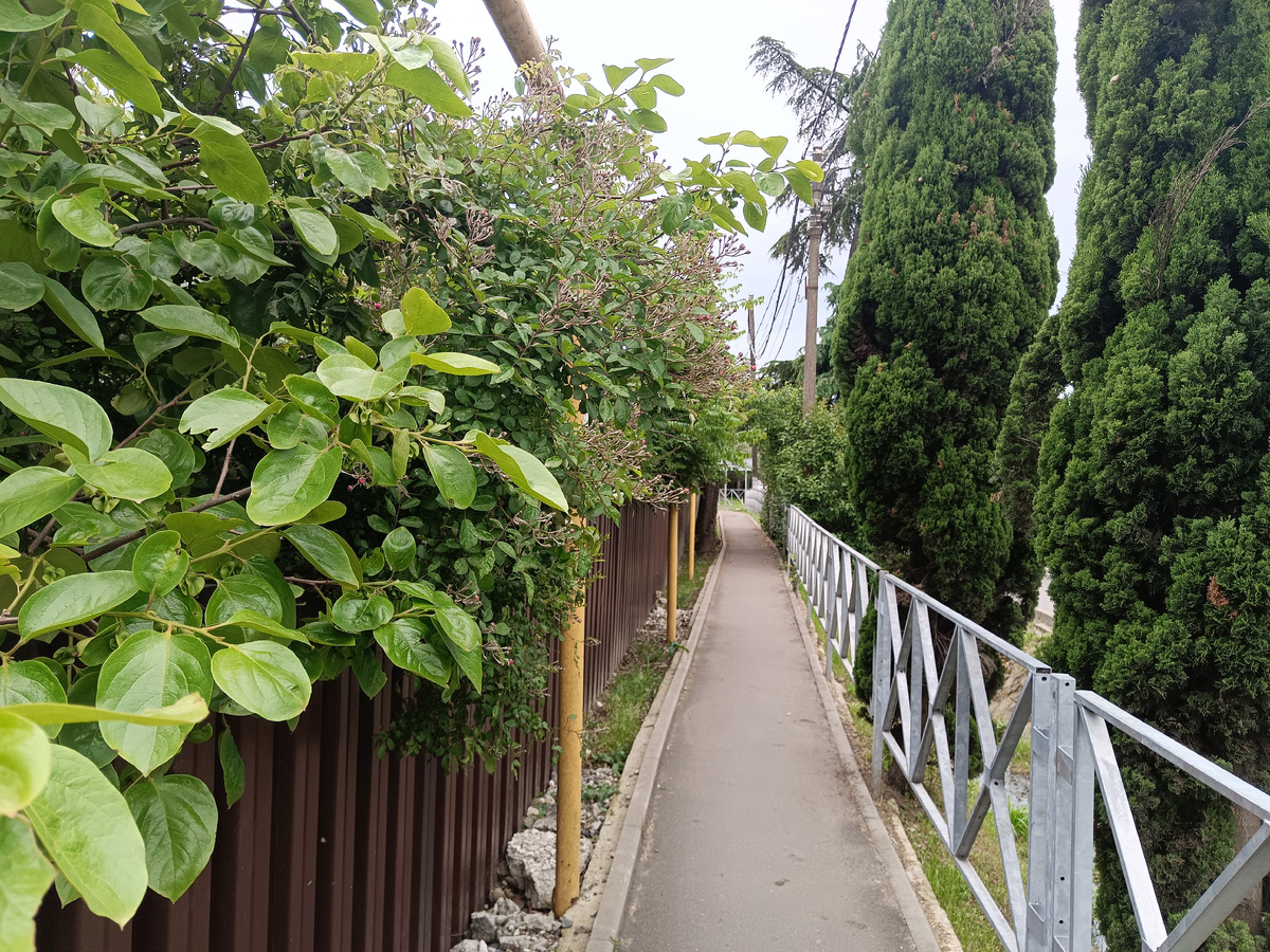 Адлер, микрорайон Весёлое, ул. Мира