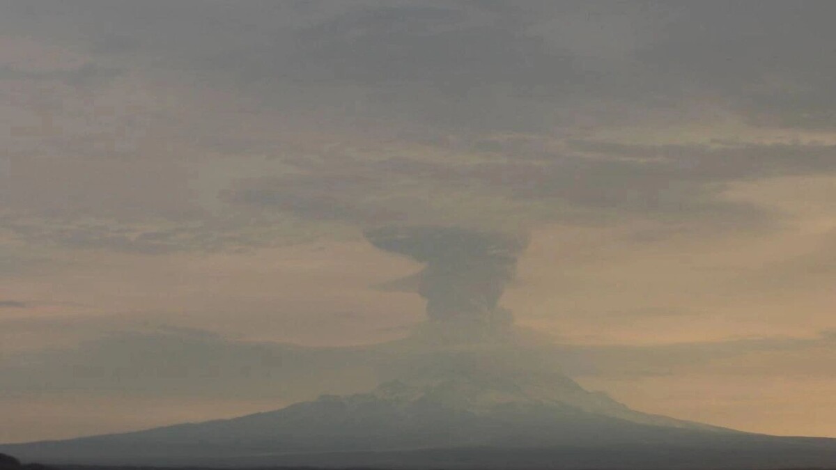    Фото: t.me/kbgsras