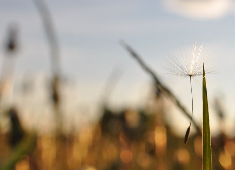 Фото: Яна Алещенко