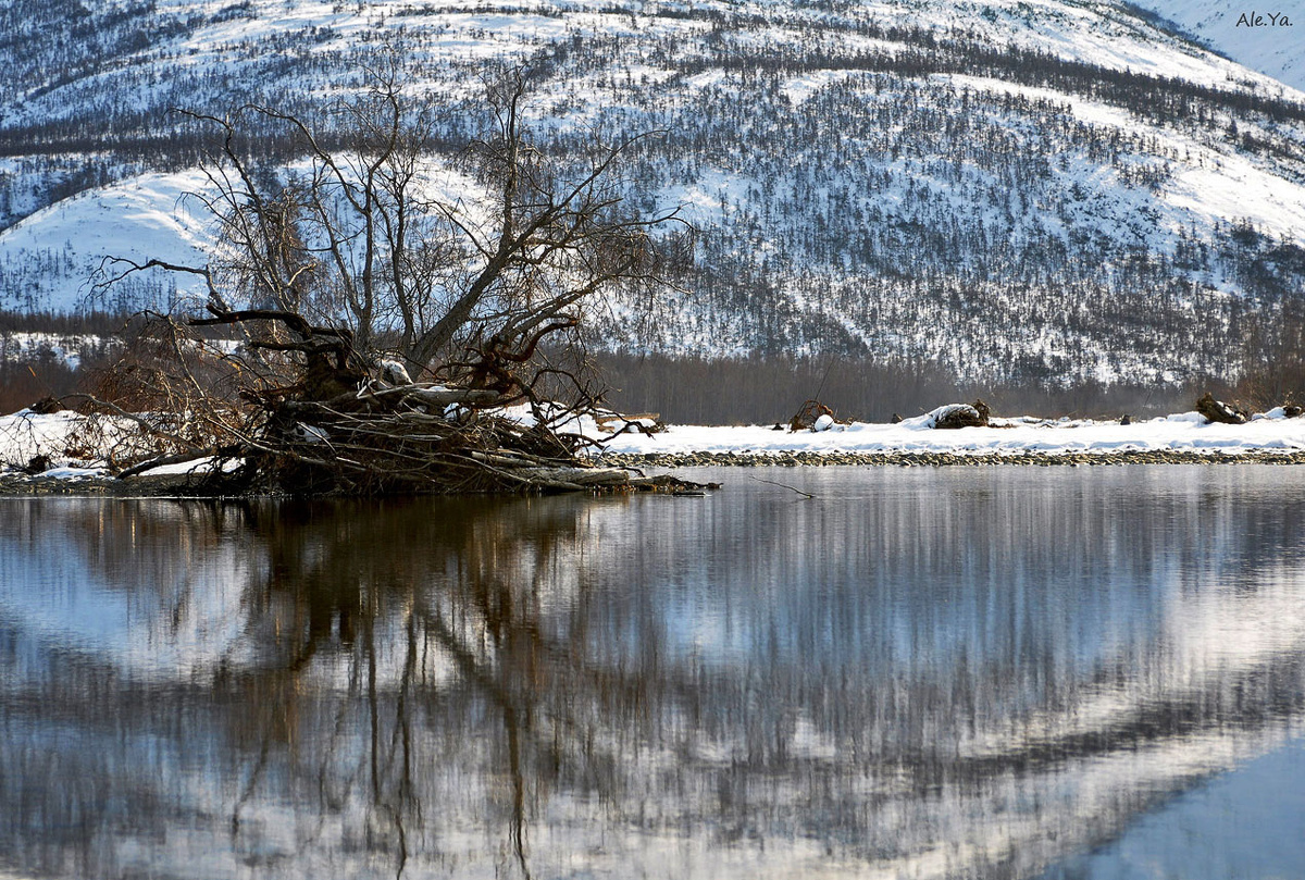 Фото: Яна Алещенко