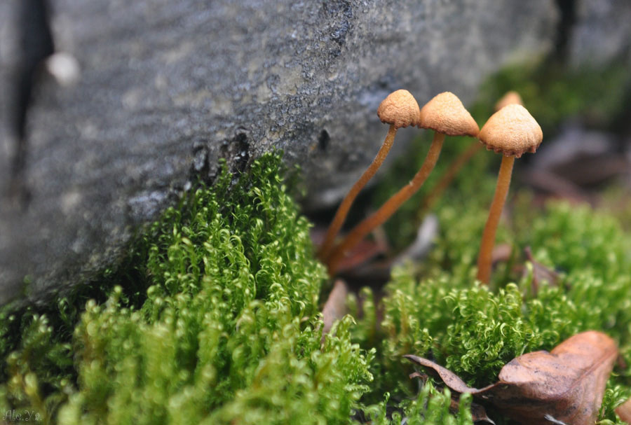 Фото: Яна Алещенко