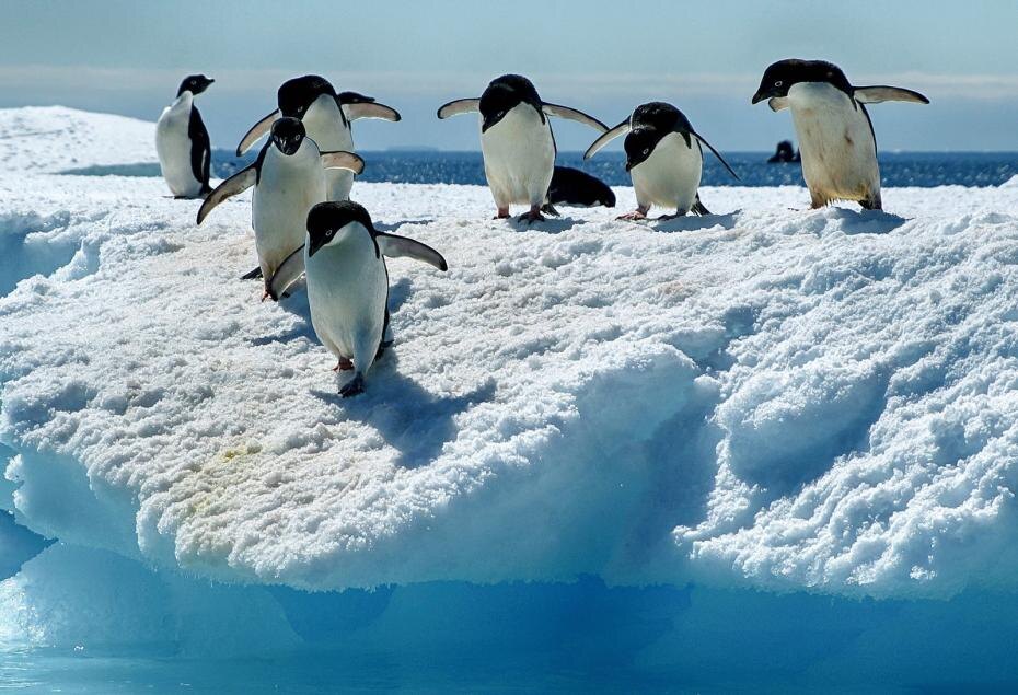    IMAGO/McPHOTO/Sigrid Wolf-Feix/Global Look Press