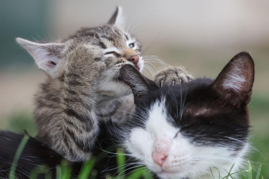    Алексей Белкин/NEWS.ru