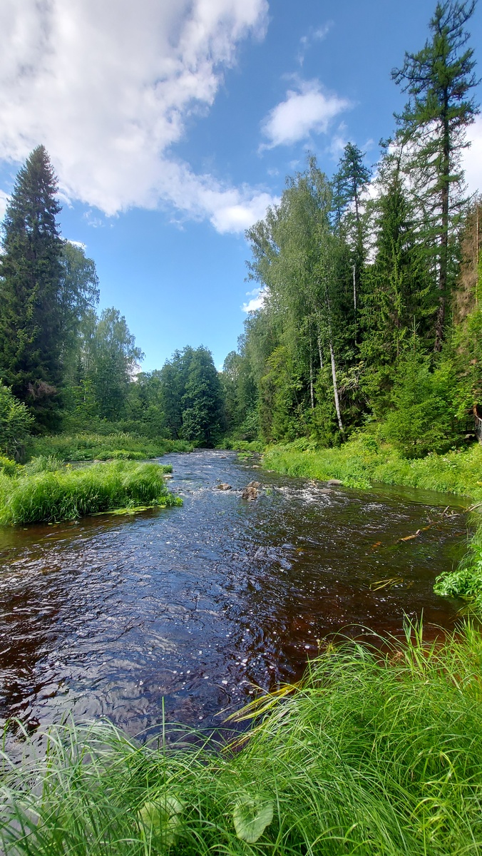 Фото сделано в июле 2024г.