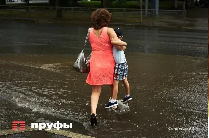    Фото: Пруфы