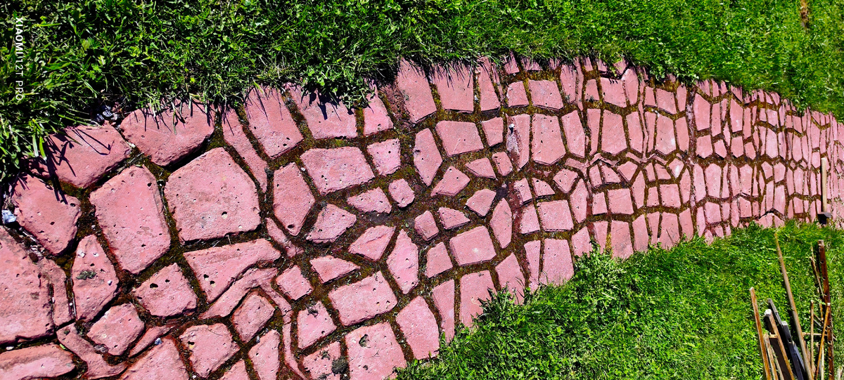 Наша первая дорожка.