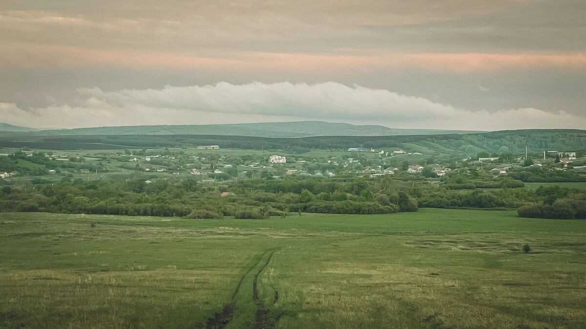     Источник: novostivolgograda.ru