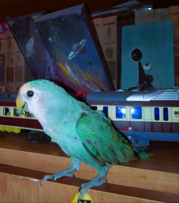 фото автора 