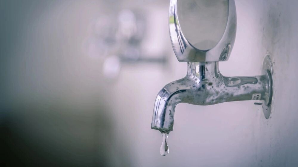    Фото: Latte Art/Shutterstock/Fotodom