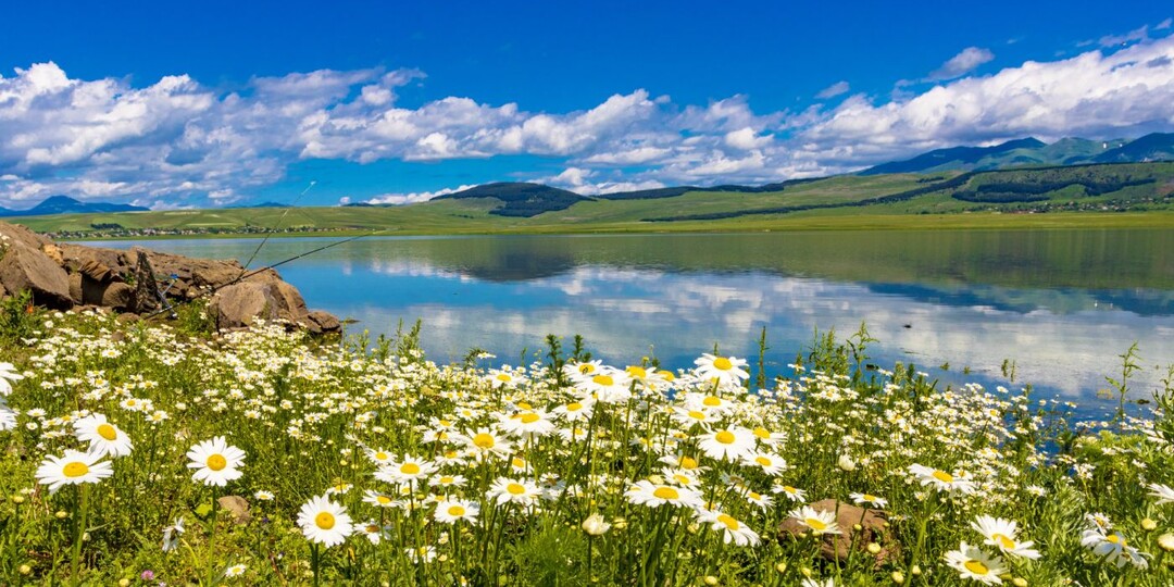 Воскресный отдых у Цалкинского водохранилища. Грузия