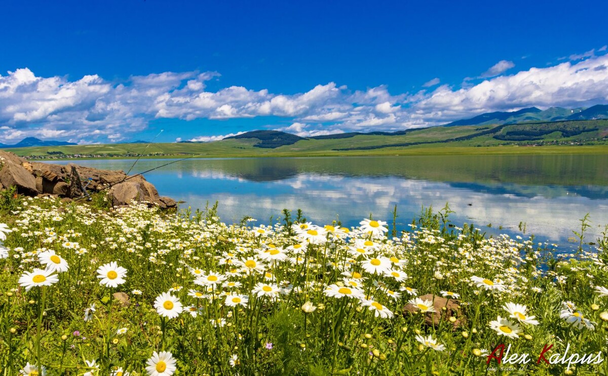 Цалкинское водохранилище - место для отдыха, пикника и рыбалки. Грузия.