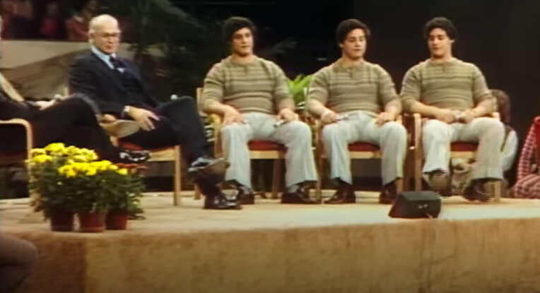 Братья на телешоу