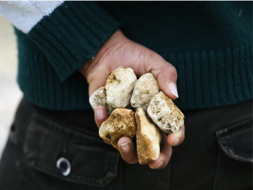 Фото: соцсети