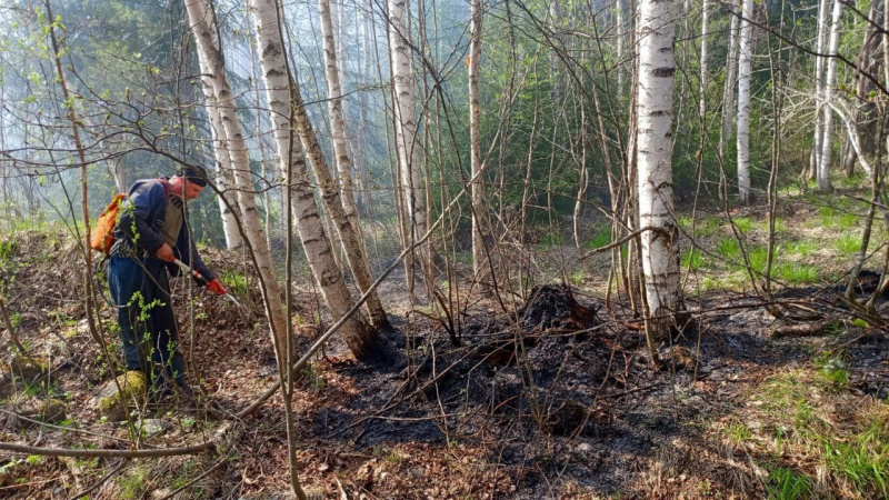    Молодой человек обгорел на пожаре в ЛахденпохьеГосударственный комитет Карелии по ОЖ и БН
