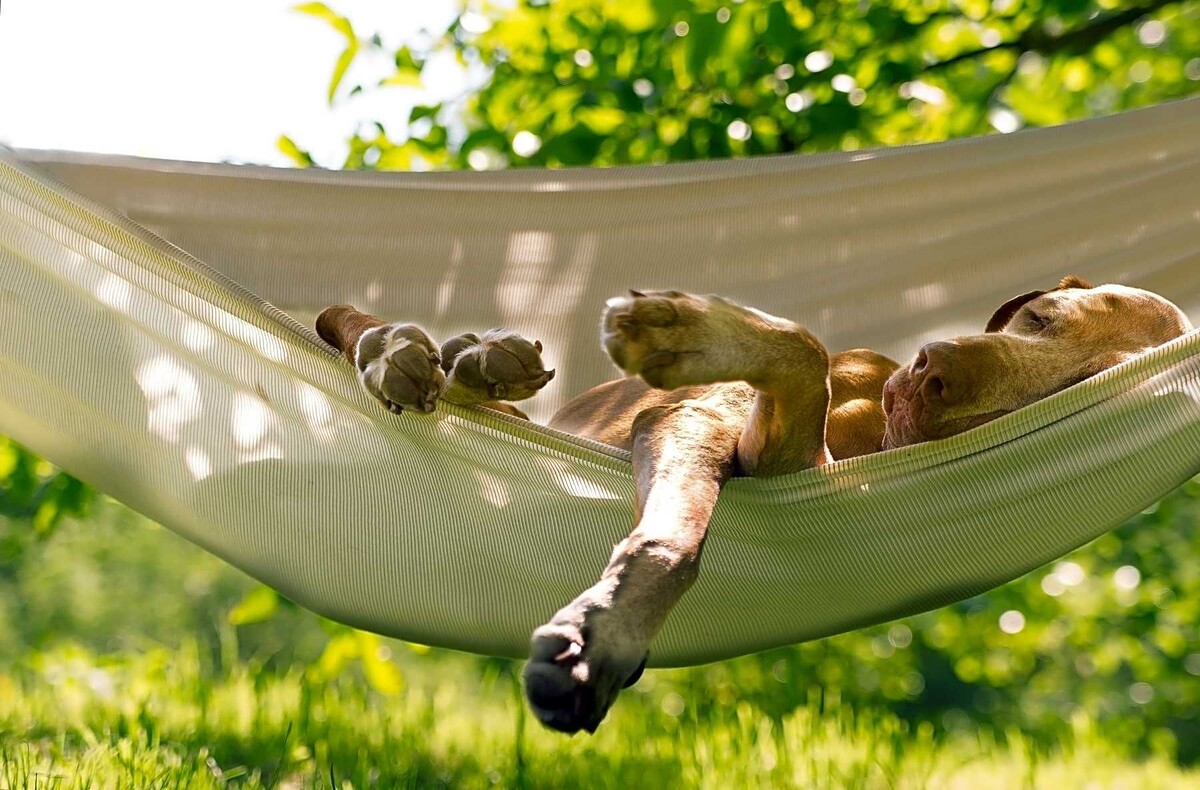 Например, отдыхать как люди...