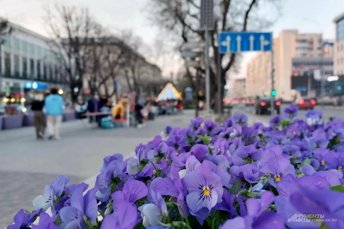    В Краснодарский край пришло летнее тепло