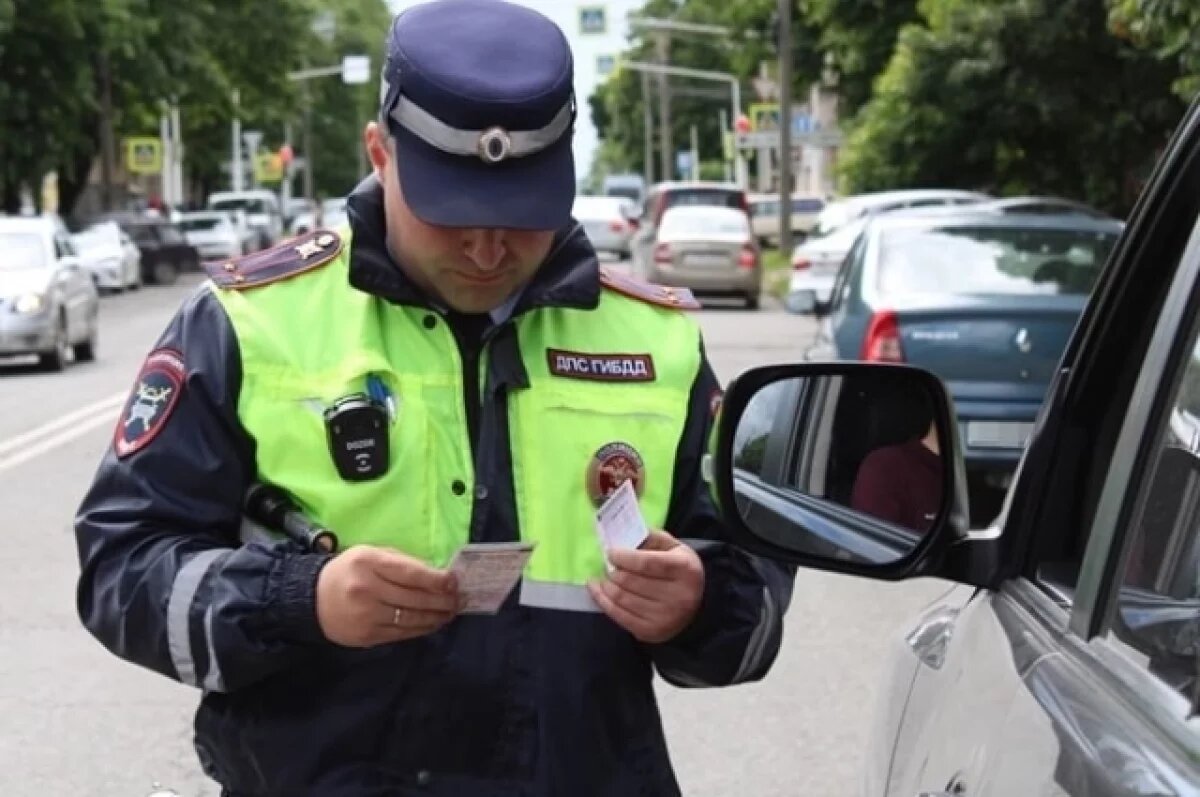    «Я тебя сгною!»