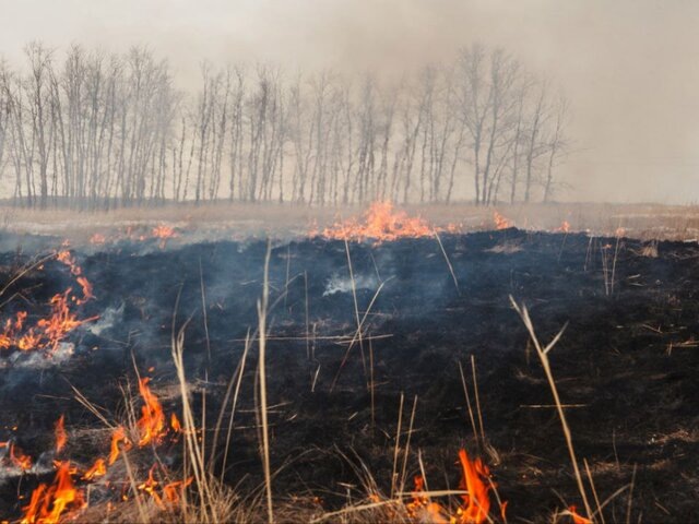    Фото: 123RF/ilstock21