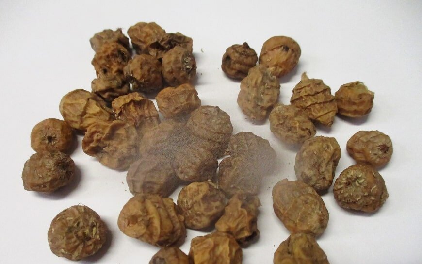    Фото: 32.fsvps.gov.ru Елена Воронцова